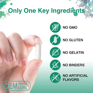 WELLBODY OEM/ODM 개인 라벨 공장 공급 할랄 천연 유기농 투드카 간 캡슐 지원 간 장 건강 지원 - Product Image 3