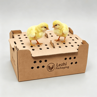 Boîte de transport pour poussins, carton de transport divisé pour oiseaux, boîte de transport pour bébés poussins, boîtes de transport