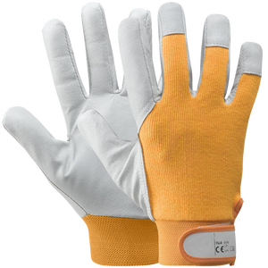 Guanto in cotone/sheepflower taglia 10 - Product Image 1