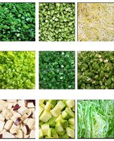 Coupe-légumes à feuilles commercial multifonctionnel Coupe-oignons électrique Coupe-oignons électrique