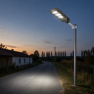 Tutto In su <span class=keywords><strong>lampione</strong></span> illuminazione integrata luci esterne 100W Lamparas Solares Road Led <span class=keywords><strong>lampione</strong></span> solare - Product Image 6