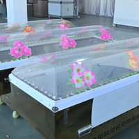 Ataúd de Cristal Premium con Enfriamiento Directo, Estilo Americano, Cubierta Transparente, Duradero, para Servicios Funerarios y Memoriales a Nivel Mundial
