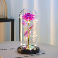 Cadeau créatif Rose éternelle en feuille d'or artificielle avec lumières dans un boîtier en plastique pour elle Décoration d'intérieur Ornement