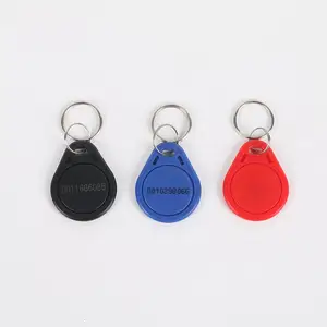 Bán buôn Vũ Hán RFID tùy chỉnh in ấn số lượng Key Fob tag