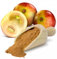 Poudre d'extrait de camu bio Vitamine C 17% 20% Poudre de fruit de camu camu