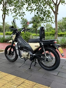 Scooter de rue puissant pour adultes - Product Image 3
