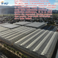 Serre agricole multi-travées à simple couche en PE avec structure stable pour la production commerciale de cultures hydroponiques