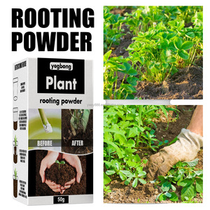 การปักชำพืชทุกชนิดทำให้รากผมมีความหนาต้นกล้าทั่วไปต้นไม้ผลไม้ดอกไม้การเจริญเติบโตของรากผมโภชนาการ - Product Image 3