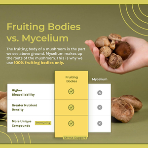 Miscela Personalizzata di Estratti di Funghi Reishi e Criniera di Leone 7 <span class=keywords><strong>in</strong></span> <span class=keywords><strong>1</strong></span> <span class=keywords><strong>in</strong></span> <span class=keywords><strong>Polvere</strong></span> con Etichetta Privata - Product Image 2