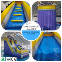 CH Château gonflable commercial en PVC de bonne qualité avec toboggan sec pour la location événementielle