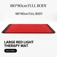 Matras Terapi Cahaya Merah yang Dapat Disesuaikan (Kode ILY) 1280 LED 660nm/850nm Pereda Nyeri Output Cahaya Stabil Nyaman untuk Tubuh Sehari-hari