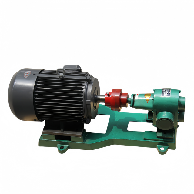 CBN Type Crude Oil Gear Pump Electric Industrial Pump for Biofuel Industry