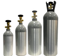 Extincteur d'incendie intérieur au CO2 Flamebeater, vente en gros d'usine, léger, écologique, garantie 4 ans, tous types d'extincteurs