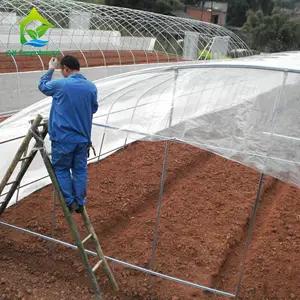 Serre tunnel en plastique d'agriculture de serre