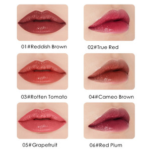 Tùy Chỉnh Logo Chất Lượng Cao Giá Rẻ Nhãn Hiệu Riêng Không Thấm Nước Rouge Matte Oem Sang Trọng Son Môi Kit - Product Image 3