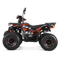 Tao Motor 2025 nouveau EFI enfants ATV Quad vélo Cuatrimotos entraînement par chaîne automatique ATV 125cc