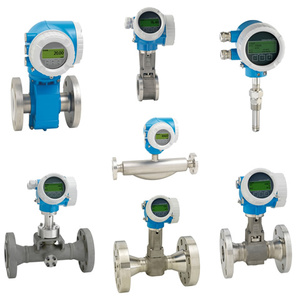 Débitmètre chinois monté sur châssis avec débitmètre Endress+Hauser Proline Promag W 300, instruments de mesure de débit E+H - Product Image 4