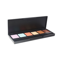 6-color concealer powder cream cover spots dark circles eyeshadow palette private brand custom logo eyeshadow palette