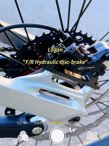 Dài Phạm Vi Điện Xe Đạp Leo Núi 27.5 Inches 29 Inch 1000W 500Watt Với Đầy Đủ Hệ Thống Treo - Product Image 6