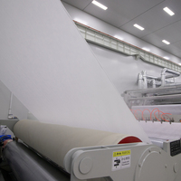 Usine personnalisé biodégradable écologique résistant à la déchirure 100% coton Spunlace tissu non tissé pour serviettes jetables pour le visage