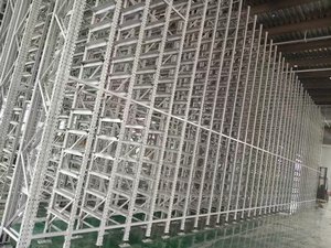 Sistema di magazzino automatizzato ad alta efficienza per la realizzazione di E-Commerce E celle frigorifere con tecnologia di controllo intelligente - Product Image 5