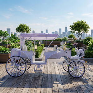 Charrette de mariage blanche minimaliste, élégante, au design moderne, chariot à chevaux classique pour la visite touristique - Product Image 1