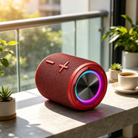 Équipement audio sans fil IPX7 5.3, étanche, éclairage LED RGB, enceinte portable