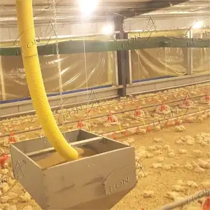 Moderna attrezzatura per allevamento di polli da carne completamente automatica di alta qualità per pollaio