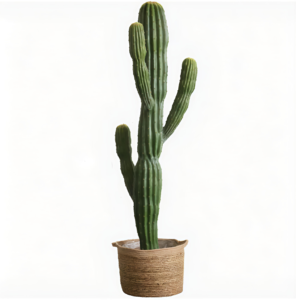 <span class=keywords><strong>Cactus</strong></span> plástico artificial verde de lujo de simulación de sensación Premium para Decoración - Product Image 1
