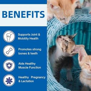 थोक मूल्य समर्थन कोशिकाएं हड्डियों और मांसपेशियों के पालतू स्वास्थ्य देखभाल और ग्लूकोज के साथ कुत्तों के विटामिन को मजबूत करता है - Product Image 2