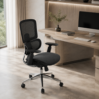 Chaise de bureau ergonomique contemporaine en maille réglable avec double ressort, support lombaire robuste, pivotante, pour la maison et le bureau commercial