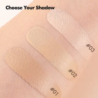 Base de Maquillaje en Cojín de Cobertura Total, Corrector Impermeable de Larga Duración 24 Horas con Control de Grasa, Marca Privada OEM