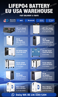 Batterie LiFePO4 solaire Docan Panda 2026 48kWh 50kWh 32kWh 16kWh 51.2V 942Ah 628Ah 314Ah pour système de stockage d'énergie domestique