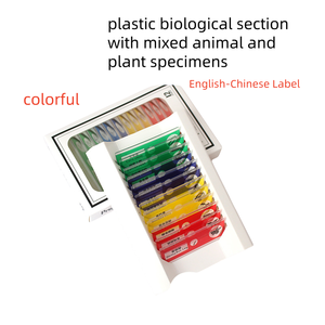 Lames de biologie des sciences médicales de 12 pièces pour l'étude des plantes animaux insectes <span class=keywords><strong>en</strong></span> <span class=keywords><strong>EN</strong></span>/CN - Product Image 5