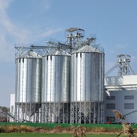 Silo del sistema di pesatura del Silo di caffè da 500 tonnellate sensore di livello del grano Silo in acciaio a grani piccoli