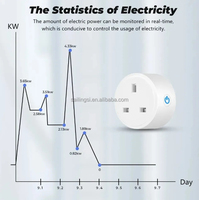 Prise intelligente Zigbee SLS 16A, prise britannique, compteur d'énergie, charge maximale 3500W-3680W, boîtier ignifuge, suivi en temps réel du kWh