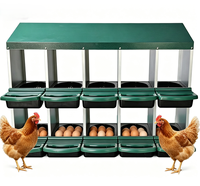 Nichoir à double couche pour poules, boîte de ponte pour volailles, pour l'élevage de poulets dans la cour