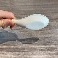 Cuillère à Bagasse asiatique 100%, vaisselle biodégradable, cuillère de service de soupe chinoise jetable pour restaurant