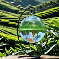 Aquarium suspendu en verre de forme ronde, vase à fleurs, vase sphérique en verre fait main, mini aquarium pour poissons rouges