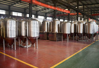 Équipement de brassage de bière de 300l, mini-brasserie artisanale, fermenteur à vendre