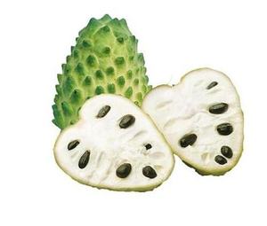 Sanitario alimentare acqua estratta Graviola in polvere <span class=keywords><strong>Soursop</strong></span> frutta in polvere MOQ 1kg - Product Image 5