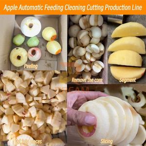 Macchina di Alta Qualità per Pelare e Rimuovere il Torsolo dalle <span class=keywords><strong>Mele</strong></span>, Lavatrice Commerciale per <span class=keywords><strong>Mele</strong></span>, Macchina per Pelare e Tagliare Frutta - Product Image 6