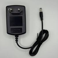 Adaptateur secteur 24V1A pour atomiseur, lampe à ongles, lampe de bureau LED, bande lumineuse, caméra de surveillance et purificateur d'eau avec adaptateur 24W