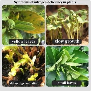 Fertilizante de nitrógeno de grado agrícola 21%, bolsa de 50 kg, sulfato de amonio granular (nh42) <span class=keywords><strong>So4</strong></span> - Product Image 5