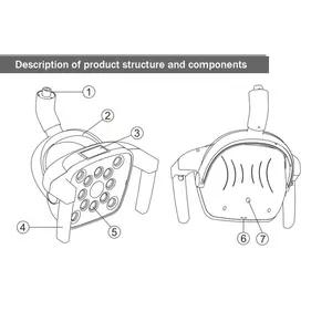 Luz de lámpara LED dental oral para unidad de silla dental Lámpara LED 12 bombillas