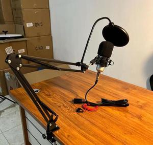 2022 Best Seller Professional Recording Wired <strong>Microphone</strong> <strong>Condenser</strong> With Shock Mount Set - Product Image 6
