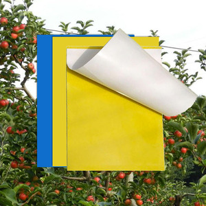 Trampa para moscas fuertes, tablero pegajoso para atrapar insectos, matamoscas - Product Image 1
