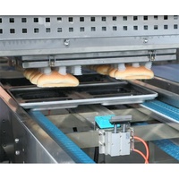 Nouvelle Ligne de Production Complète Automatique pour Cupcakes, Gâteaux, Pains, Toasts et Croissants en Acier Inoxydable Électrique Haute Productivité