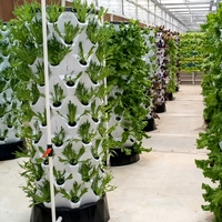 Système hydroponique vertical de jardin en tour pour serre