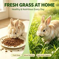 Aliment de base pour lapins à base d'herbe de Timothy, nourriture pour lapins, nourriture et friandises pour cochons d'Inde, granulés pour lapins avec carottes ajoutées, personnalisable